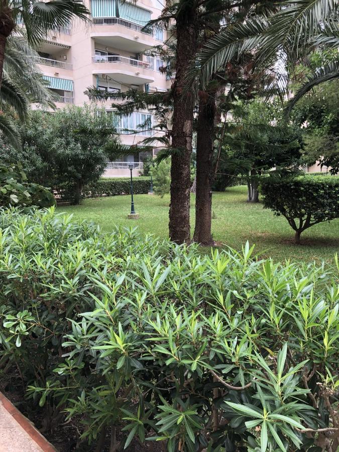 Apartamento Parque 2 Gandía Playa de Gandia Bagian luar foto