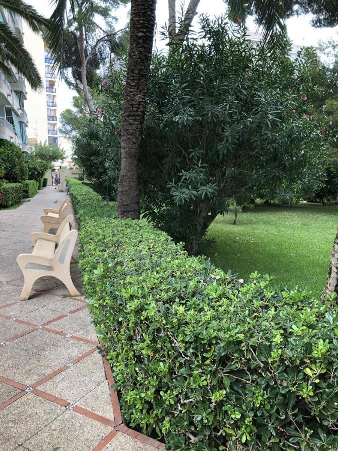 Apartamento Parque 2 Gandía Playa de Gandia Bagian luar foto