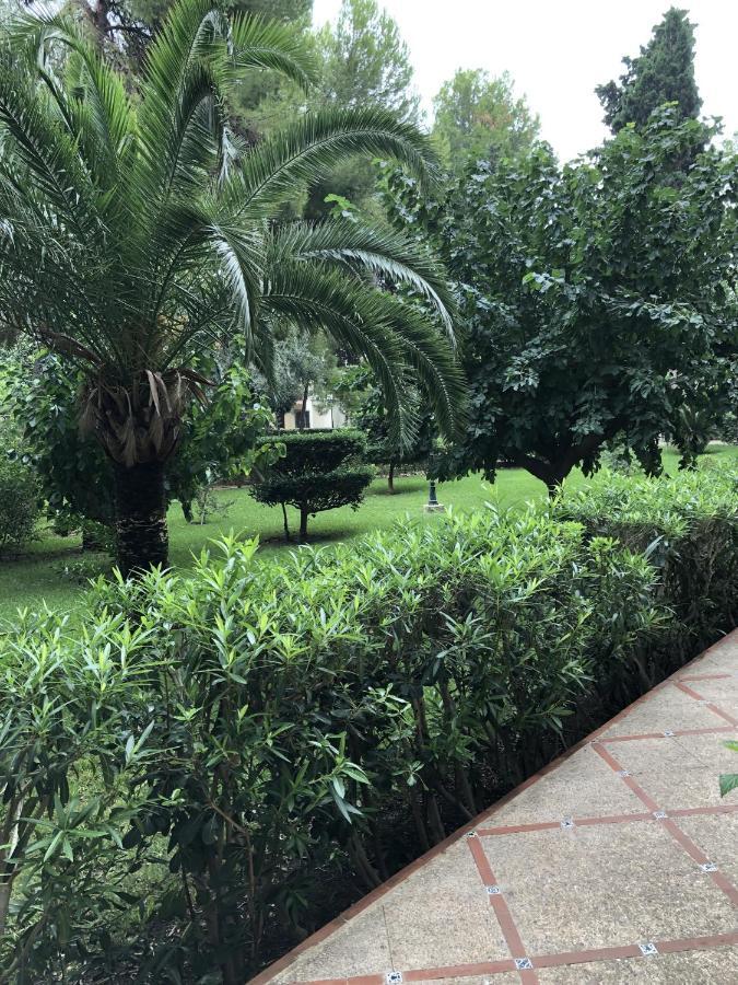Apartamento Parque 2 Gandía Playa de Gandia Bagian luar foto